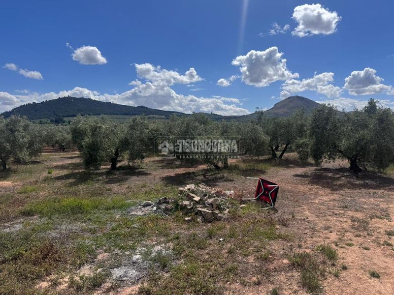 Foto f4d461b0-3c66-4aa7-aad9-77449b2f6d15. Finca rústica a Albolote