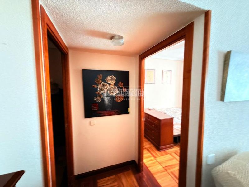 Foto 35ddf535-8fe0-4e47-9890-1c6ffc99fab7. Pis a Prosperidad Madrid