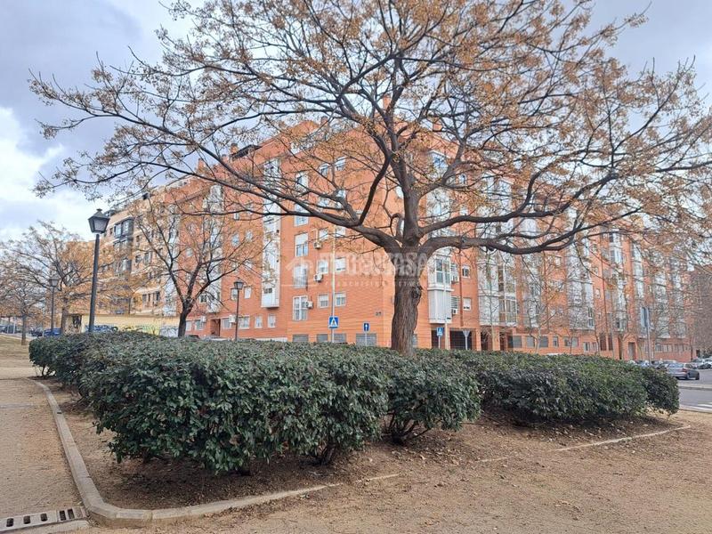 Foto f3c25dc4-d21f-4406-bb96-b1dfc4a0109e. Piso  en venta en Butarque Madrid