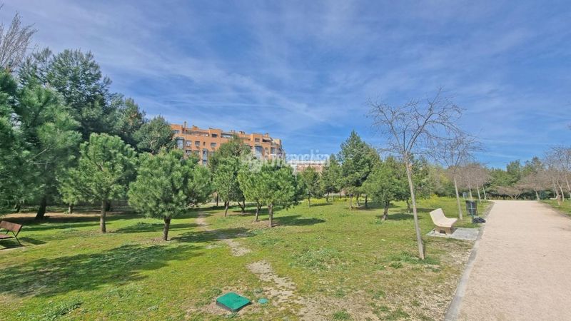 Foto e9d337f2-603e-4c92-961d-423b1750bb1a. Piso  en venta en Butarque Madrid