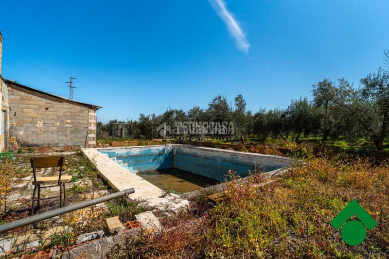 Foto 56a5c256-7c36-44ed-80f7-31953b36d93d. Masia a Chauchina