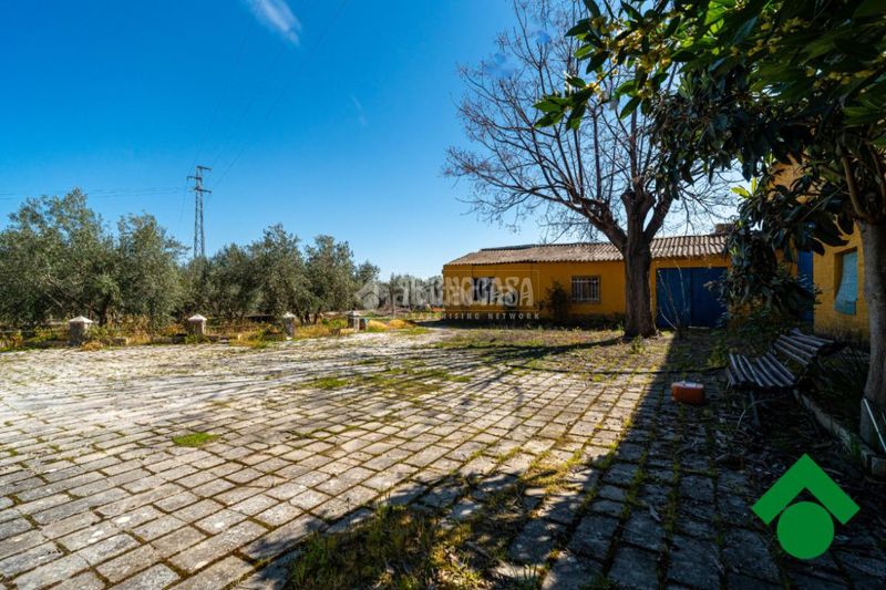 Foto 9971731c-98a6-4f96-9a34-1440161b028d. Masia a Chauchina