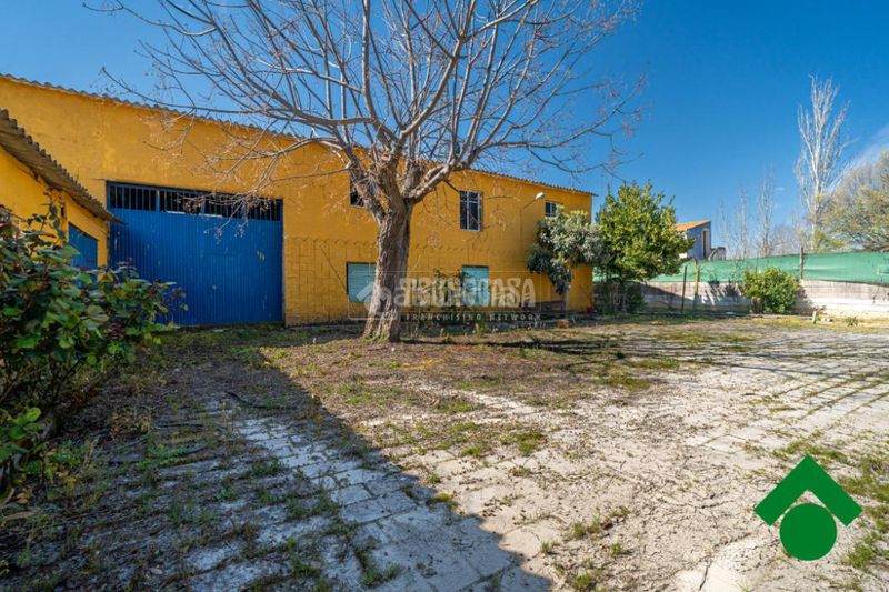 Foto a040f0a1-6682-48a6-ac03-29baeda0c84f. Masia a Chauchina