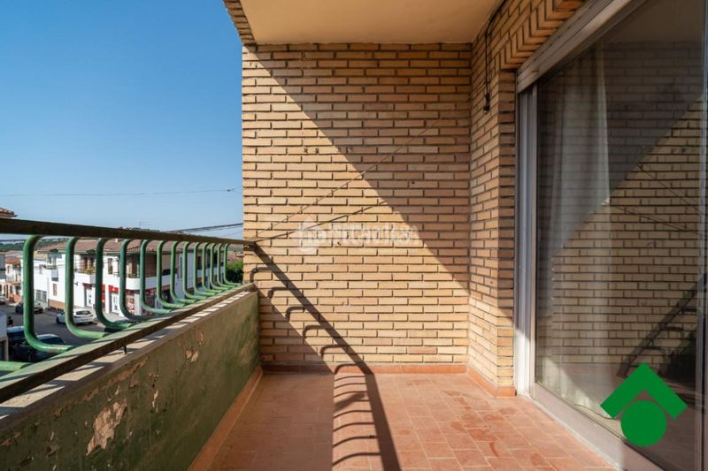 Foto 42c06e1d-d54b-4534-b2d6-3767c3fa2df4. Pis a Íllora