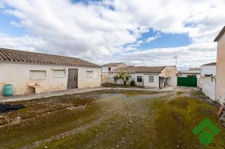 Casa aparellada a Láchar. Casa en venta en láchar