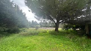 Finca rústica a Pelagatos - Pago del Humo. Terrenos en venta en chiclana de la frontera