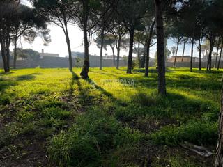 Finca rústica a Las Lagunas - Campano. Terrenos en venta en chiclana de la frontera