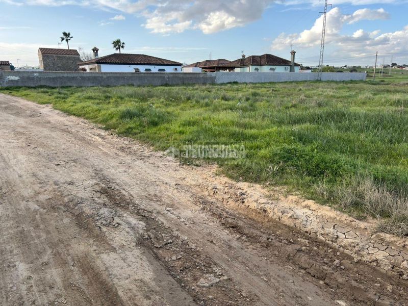 Foto ca88aa69-10b7-4908-b180-9afeb0d260b5. Finca rústica a Pelagatos - Pago del Humo Chiclana de la Frontera