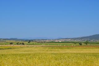 Rural plot in Vilafranca de Bonany. Terreno urbanizable en zona villafranca del bonany