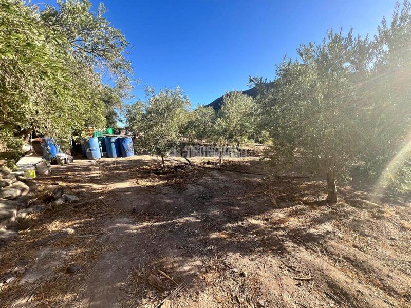 Foto 63459338-3284-4bce-9194-dca6947746bf. Country house with parking in San Bartolomé Interior San Bartolomé de Tirajana