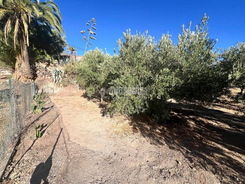 Foto 9da60d57-e02e-4dff-8eeb-40d5dbe6f56b. Country house with parking in San Bartolomé Interior San Bartolomé de Tirajana