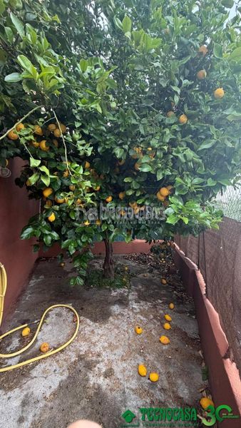 Foto ac254dd1-0325-4005-aa68-8ee42d85cd15. Casa aparellada a Candeleda