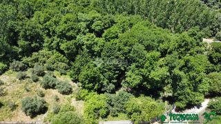 Fondo rustico in Gavilanes. Terrenos en venta en gavilanes