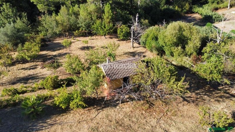 Foto 5a509c38-f014-48b3-9974-e8acbd30ceff. Finca rústica a Santa Cruz del Valle