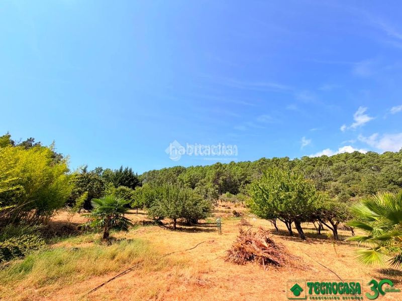 Foto 7bbcdf91-f167-4dc5-be5f-204849369901. Finca rústica a Santa Cruz del Valle