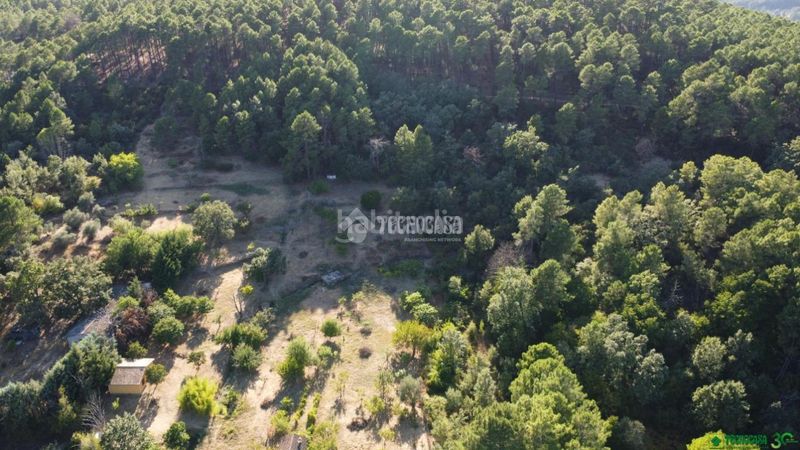 Foto b6a8d9ed-c822-4727-bab2-fb6808e99dc2. Finca rústica a Santa Cruz del Valle