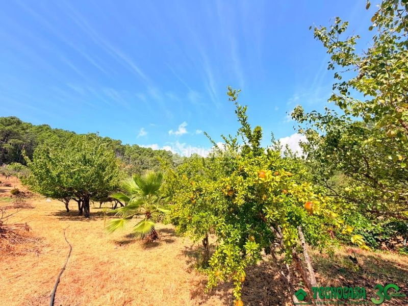 Foto ca892a49-20aa-40d4-aede-d6ad84d5a667. Finca rústica a Santa Cruz del Valle