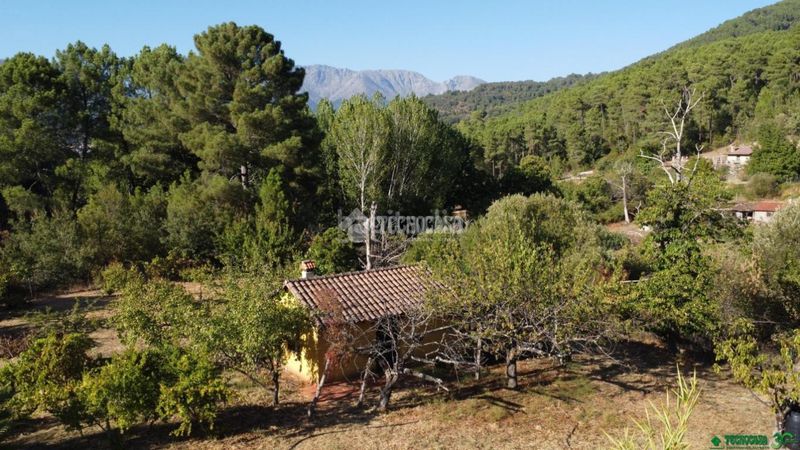 Foto cde1bd4d-cc23-49d3-9e81-cd4516091d41. Finca rústica a Santa Cruz del Valle