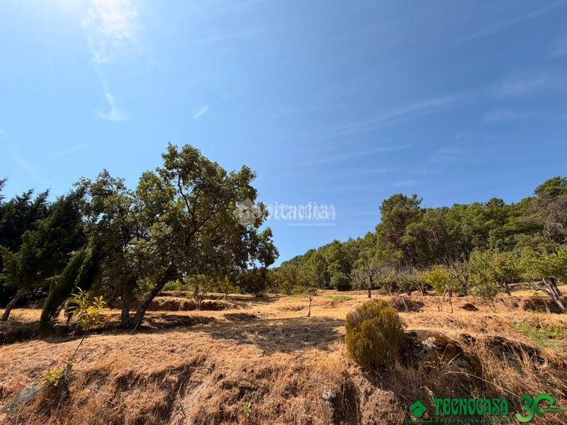 Foto e4073b11-821a-4cad-836f-6b6f2dd2c0bd. Finca rústica a Santa Cruz del Valle