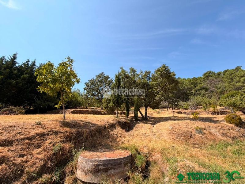 Foto e4b7f348-b1ca-497f-8a9e-b85978c35788. Finca rústica a Santa Cruz del Valle