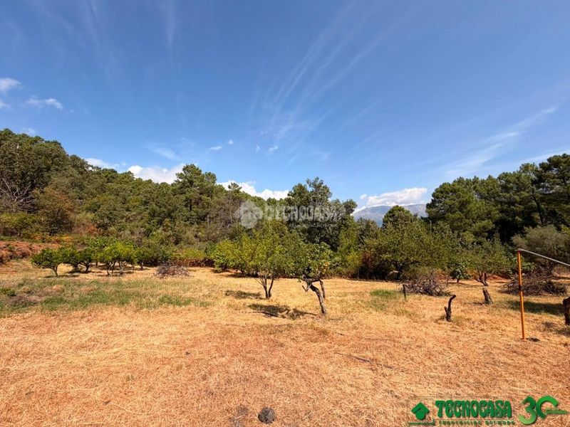 Foto f72255a9-14d3-40aa-b3bb-800ddbcb9722. Finca rústica a Santa Cruz del Valle
