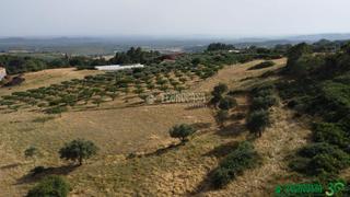 Finca rústica a Candeleda. Terrenos en venta en candeleda