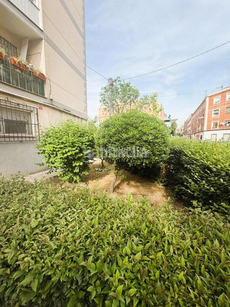 Foto a4af0307-34a3-4b5e-bd35-a4be2603146c. Piso  en venta en Opañel Madrid