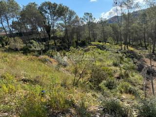 Wohngrundstück in Olivella. Terrenos en venta en olivella