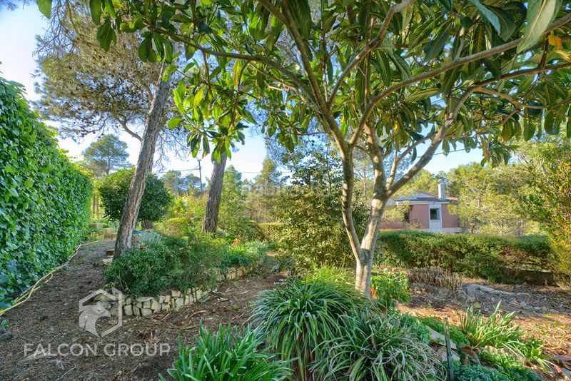 Foto bdfea684-1c0e-49f5-b66b-36b09cca9cfa. Casa en Querol