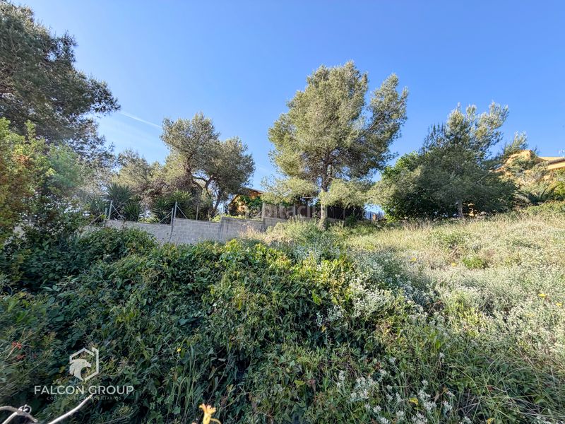 Foto 0542b3df-7c17-408a-9bb6-be482cf25183. Terreny residencial a Canyelles