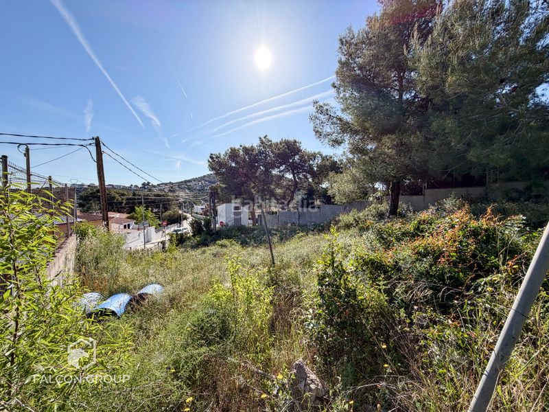 Foto 8df94b39-48e8-41cf-9899-86ea793e89e2. Terreny residencial a Canyelles