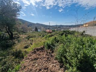 Terreny residencial  Carrer de la freixe