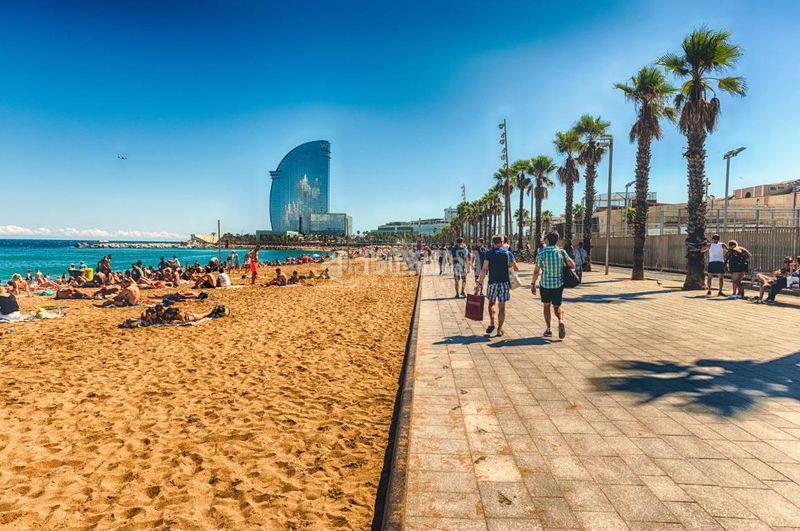 Foto 8935cd84-baad-40be-8e65-ea462f3ae45d. Pis a Barceloneta Barcelona