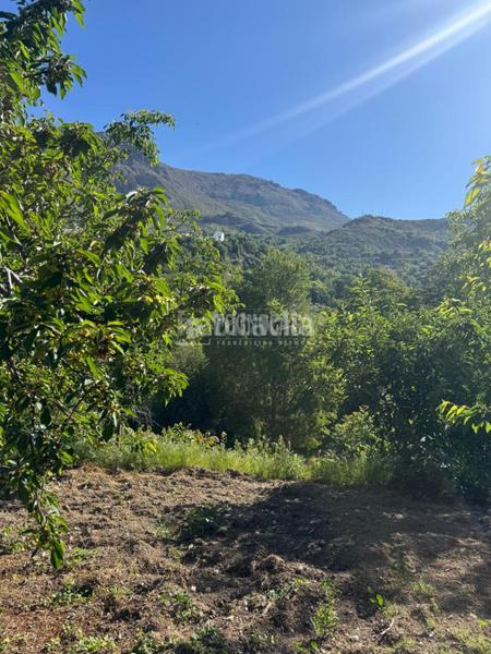 Foto 3e306ef3-50f1-4d79-bd73-227f52e47cb6. Finca rústica terrenos en venta en gejar sierra en Güéjar Sierra