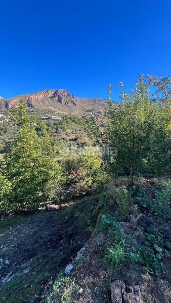 Foto 8377febd-365d-42a7-84dd-d66f6aae49d9. Finca rústica terrenos en venta en gejar sierra en Güéjar Sierra