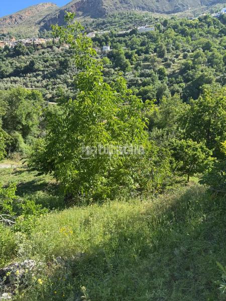 Foto 87267822-a4fa-42d3-ba11-772556bc5438. Finca rústica terrenos en venta en gejar sierra en Güéjar Sierra