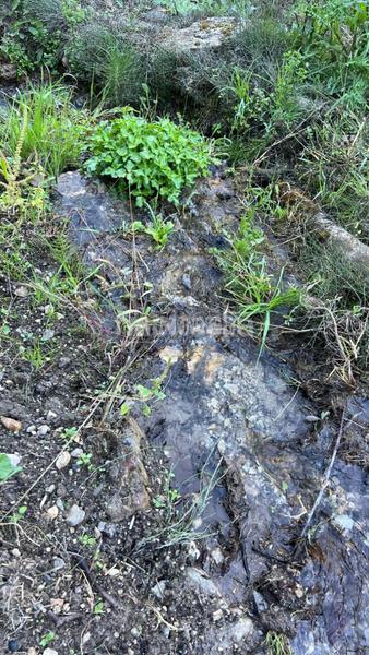 Foto cdffa01d-6cb5-403b-bf0a-2c2aeab75970. Finca rústica terrenos en venta en gejar sierra en Güéjar Sierra