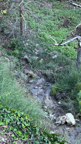 Foto f3f08b32-234c-4293-b25e-7cab84087208. Finca rústica terrenos en venta en gejar sierra en Güéjar Sierra