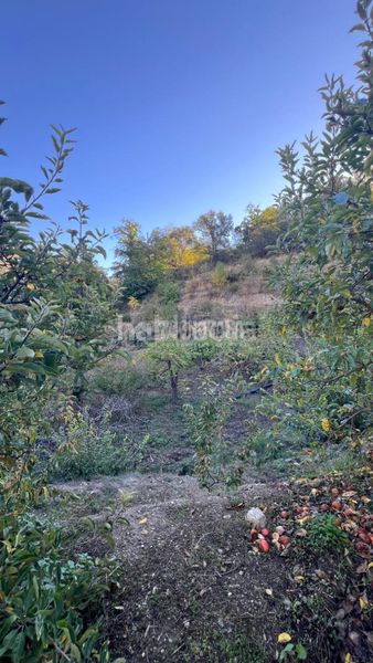 Foto 0e0e687a-da87-44ef-b0a3-5ecff75549e4. Finca rústica a Güéjar Sierra