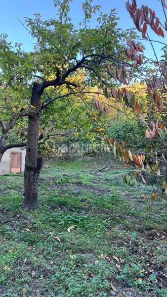 Foto a2be2b0a-6fdd-4fed-9946-3e75d5c85379. Finca rústica a Güéjar Sierra