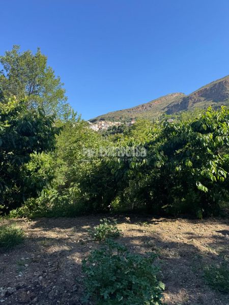 Foto a9c72ade-7aa4-4c2d-9920-09322b42c565. Finca rústica a Güéjar Sierra