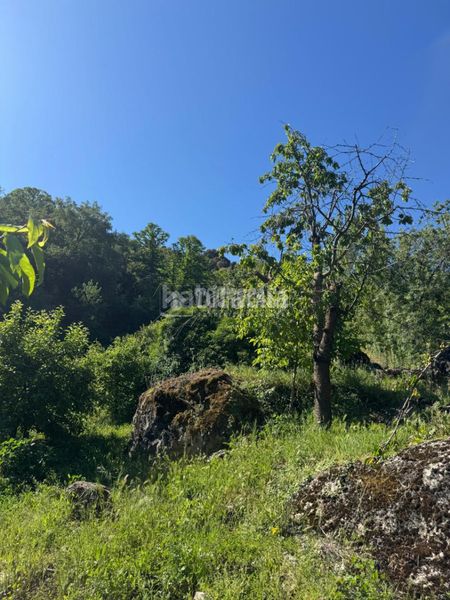 Foto ab00eba0-254d-409a-b5fc-771479c4b545. Finca rústica a Güéjar Sierra