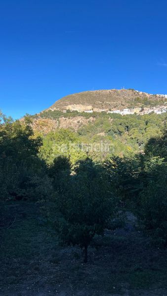 Foto d1abd9a8-28a3-4110-a2ed-3d3be9c16075. Finca rústica a Güéjar Sierra