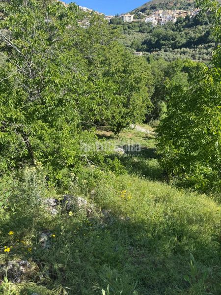 Foto d588cbd1-5ce4-4b13-b05a-e952be280dec. Finca rústica a Güéjar Sierra