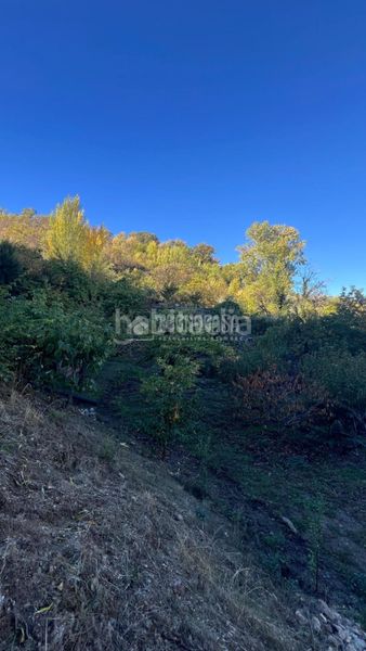 Foto eb964f28-bcc0-4180-bfbe-c9ea1dab8c13. Finca rústica a Güéjar Sierra