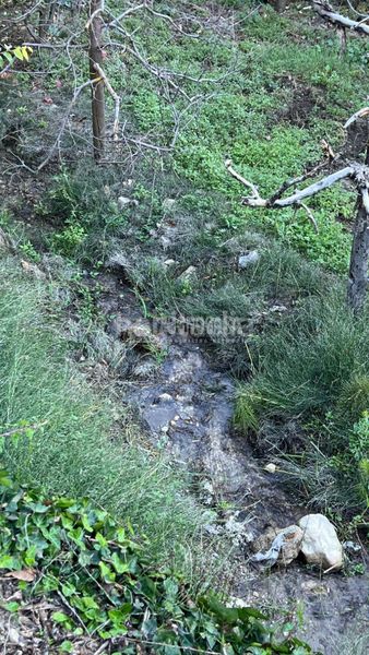 Foto f3f08b32-234c-4293-b25e-7cab84087208. Finca rústica a Güéjar Sierra