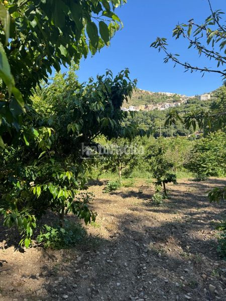 Foto f41fc990-7958-4c62-9323-820ca2e2d80b. Finca rústica a Güéjar Sierra