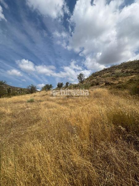 Foto 63bd5f63-dcf3-4324-8020-ed55381922b7. Terreno residencial terrenos en venta en Dúdar