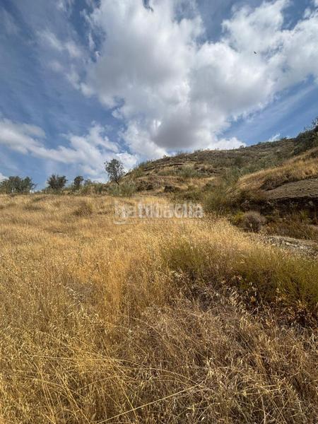 Foto ec0305c5-ee0b-476d-94ec-93aaf592f316. Terreno residencial terrenos en venta en Dúdar