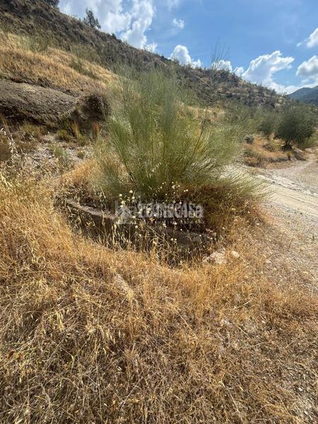 Foto ed4078c8-cbe1-4c18-8a54-77463ba5cf66. Terreno residencial terrenos en venta en Dúdar
